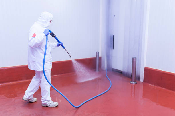 Best Commercial Pressure Washing in White House, TN
